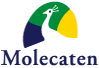 Molecaten