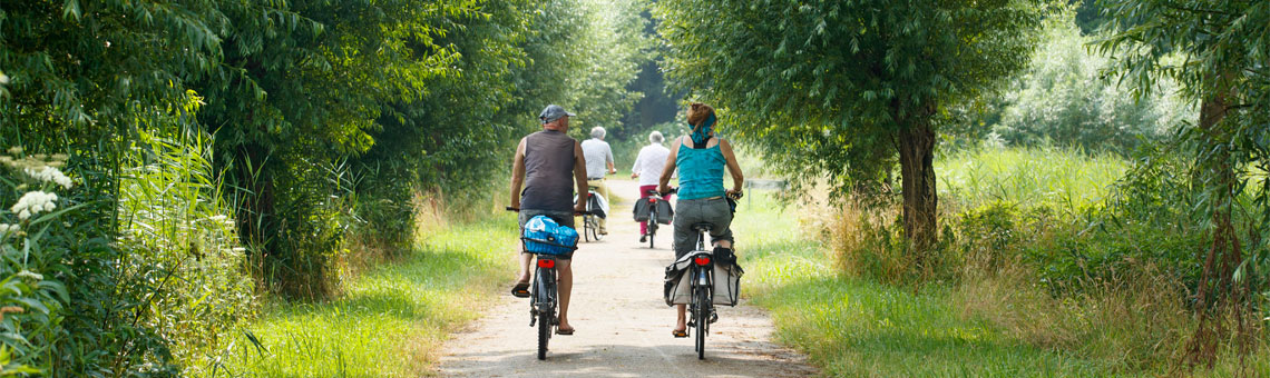 Molecaten campings en vakantieparken 24