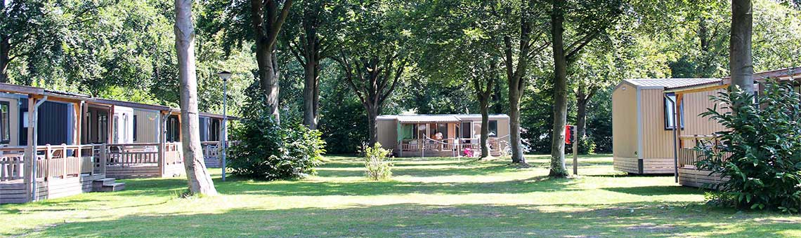 Molecaten Park Bosbad Hoeven 19