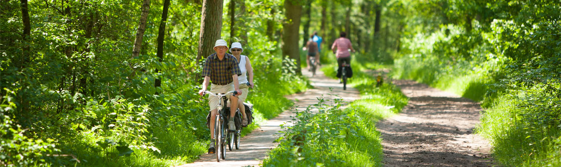 Molecaten Park De Leemkule 07