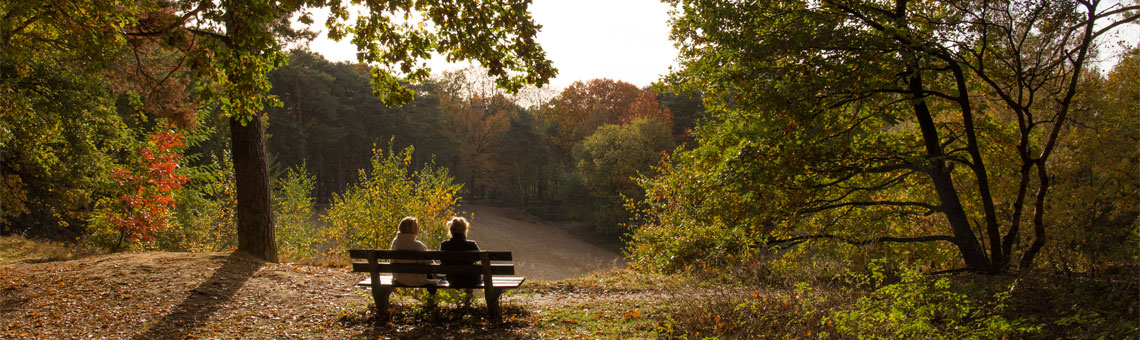 Molecaten Park De Leemkule 20