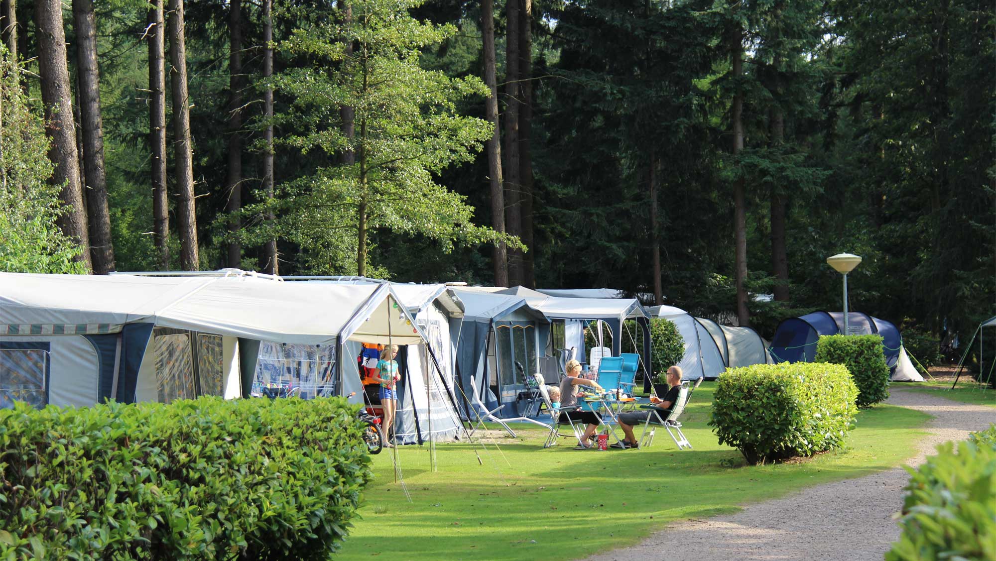 Comfortplaats op camping De Leemkule in Hattem | Molecaten