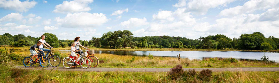 Molecaten Park Het Landschap 09