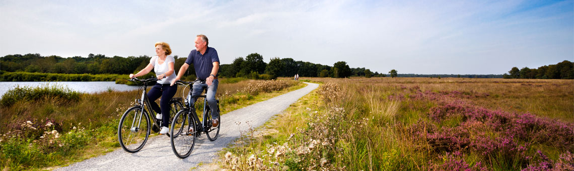 Molecaten Park Het Landschap 20