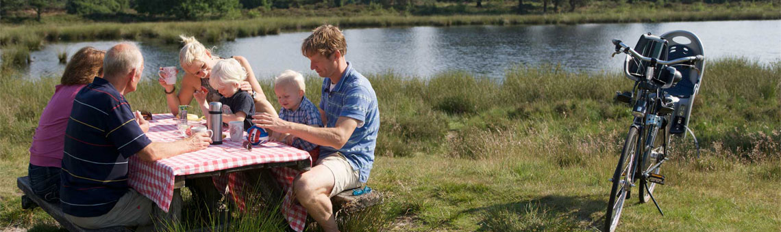 Molecaten Park Het Landschap 21