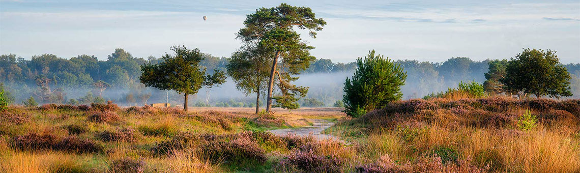 Molecaten Park Landgoed Ginkelduin 01