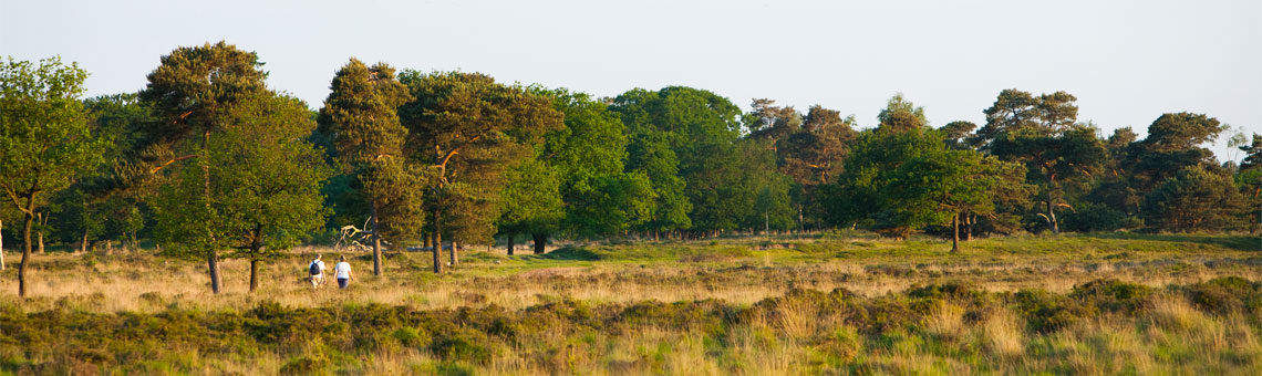 Molecaten Park Landgoed Ginkelduin 10