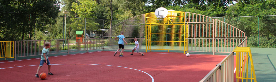 Molecaten Park Landgoed Ginkelduin 24