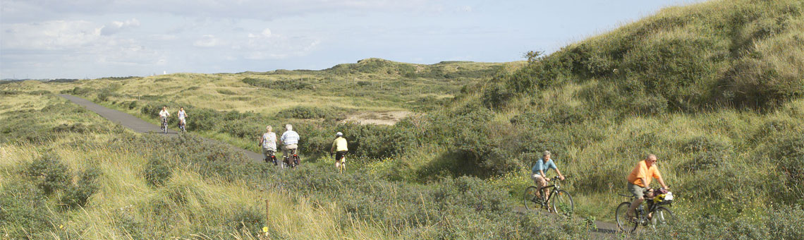 Molecaten Park Noordduinen 13