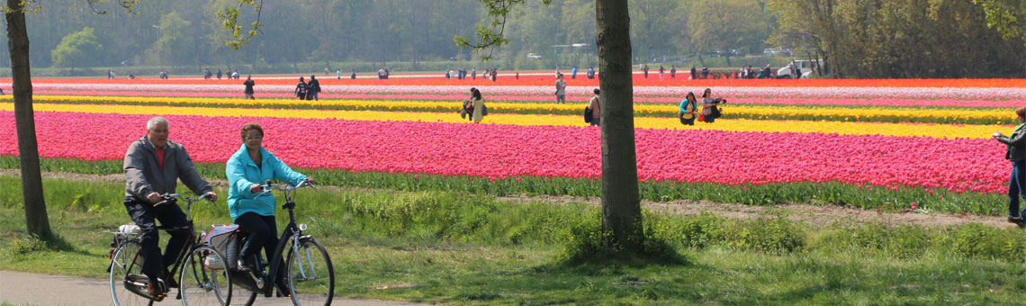 Molecaten Park Noordduinen 25