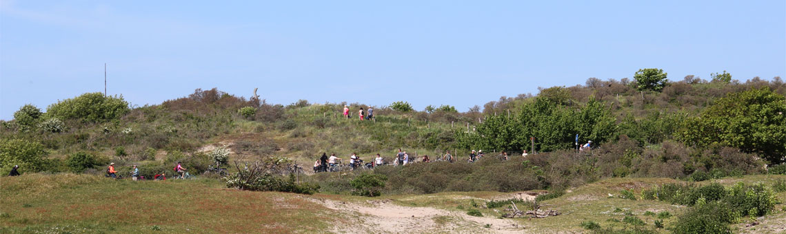 Molecaten Park Wijde Blick 11